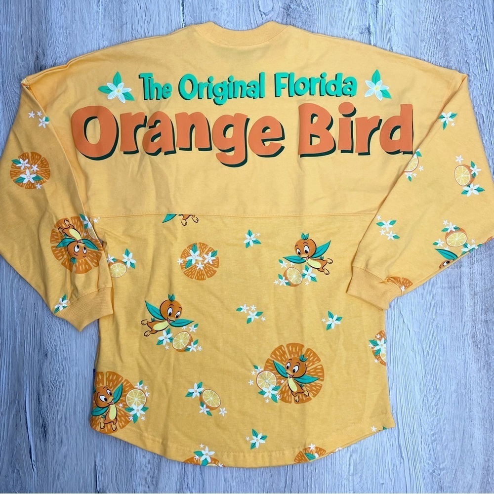 Disney Spirit Jersey